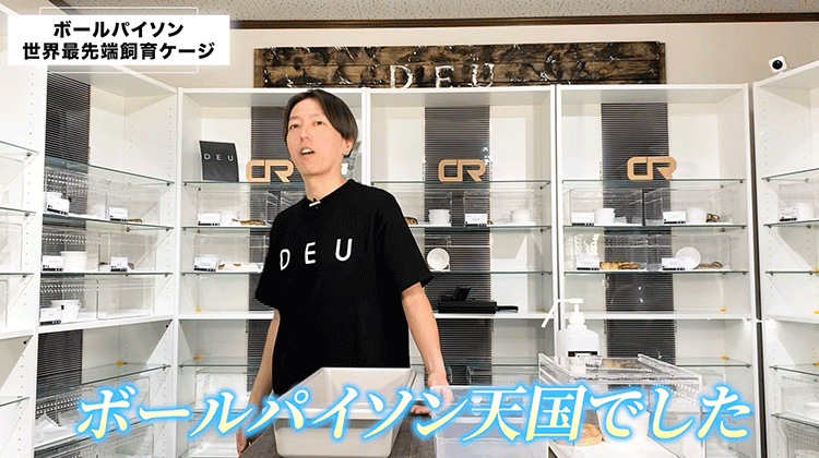 ヘビ世界最先端の飼育ケージ｜ボールパイソン | ボールパイソン専門店