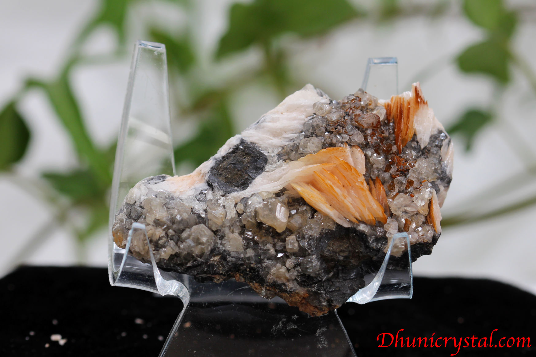 パイライト ガレナ クォーツ 3種共生鉱物 天然石 パワーストーン