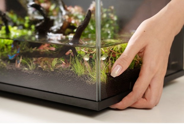 LEDアクリル水槽 自動給餌・温度調整付き 自動給餌器 魚 餌やり器 餌