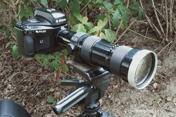 Kodak DCS 460の終焉～撮影日記