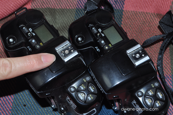 Nikon F-601には2種類ある～撮影日記