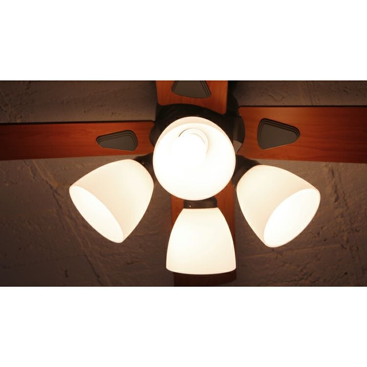 BIG-101 plusmore(プラスモア) シーリングファン Windouble 4灯