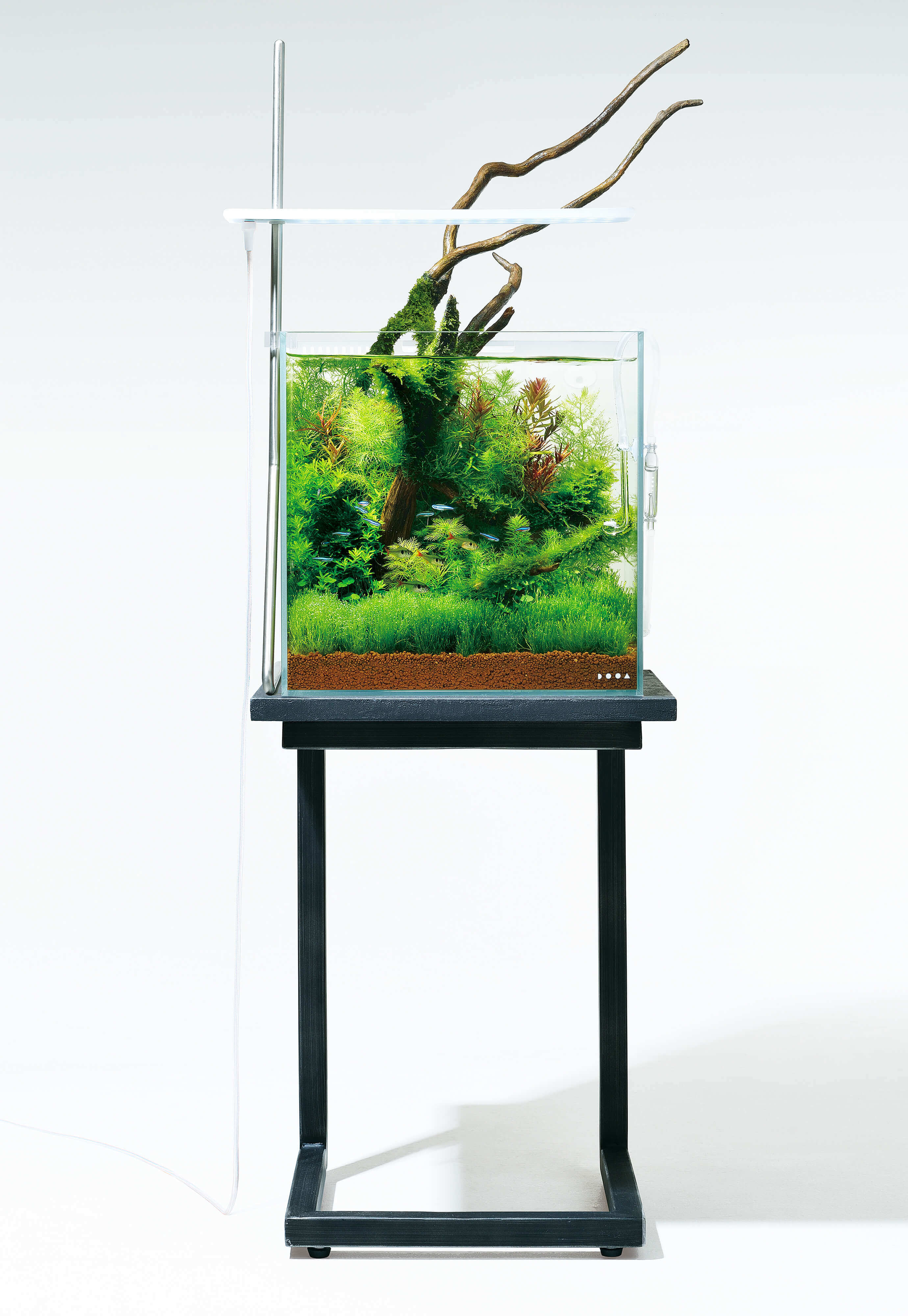 ADA 水槽台&ライトセット（お引き取り限定） ADA 水槽台&ライトセット