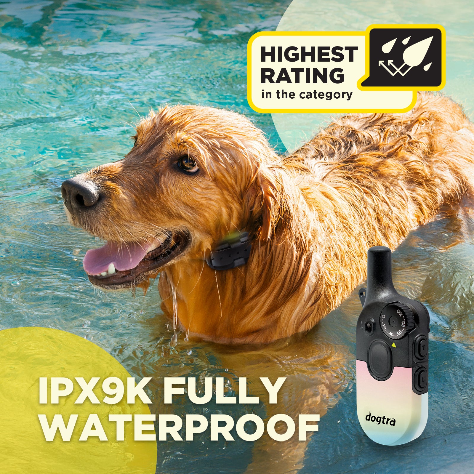 Accessories – Dogtra.com