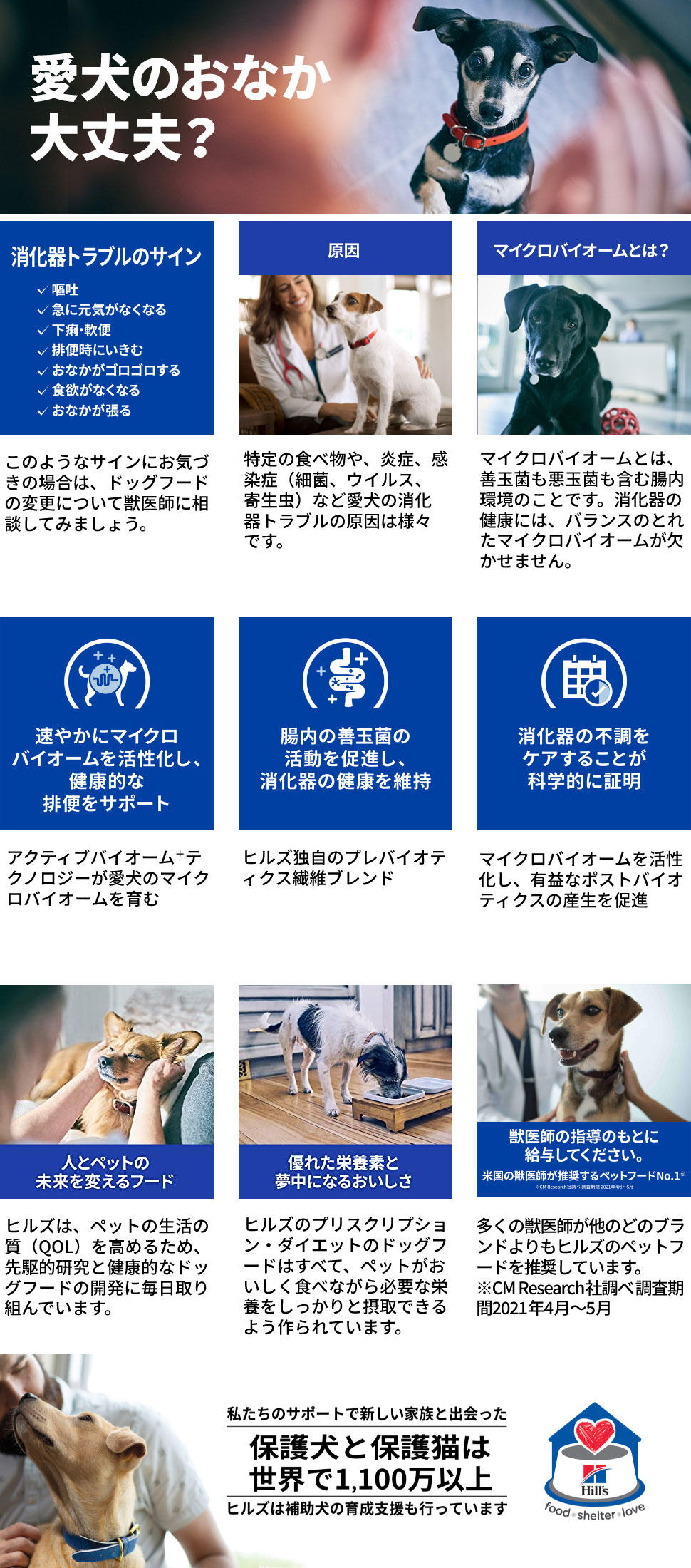 ヒルズ 犬用 腸内バイオーム 繊維＆消化ケア 小粒 ドライ 3kg | ドッグ