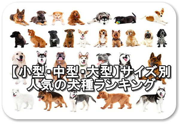 中型犬、大型犬サイズ
