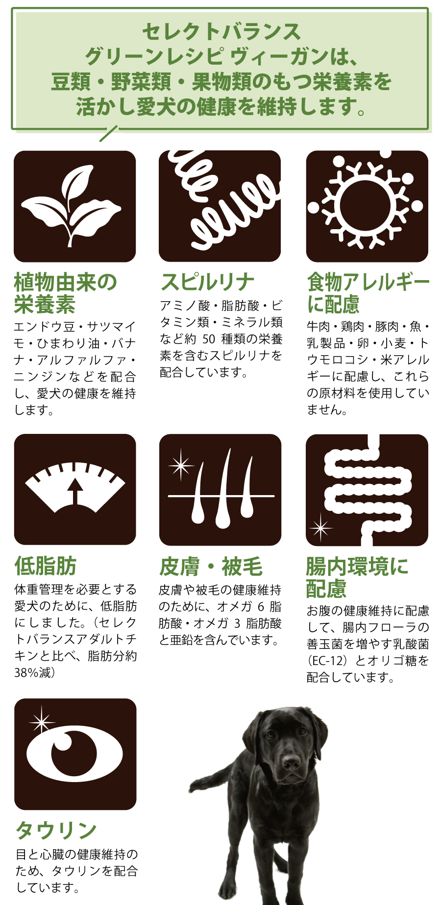 セレクトバランス グリーンレシピ ヴィーガン 小粒 2.4kg