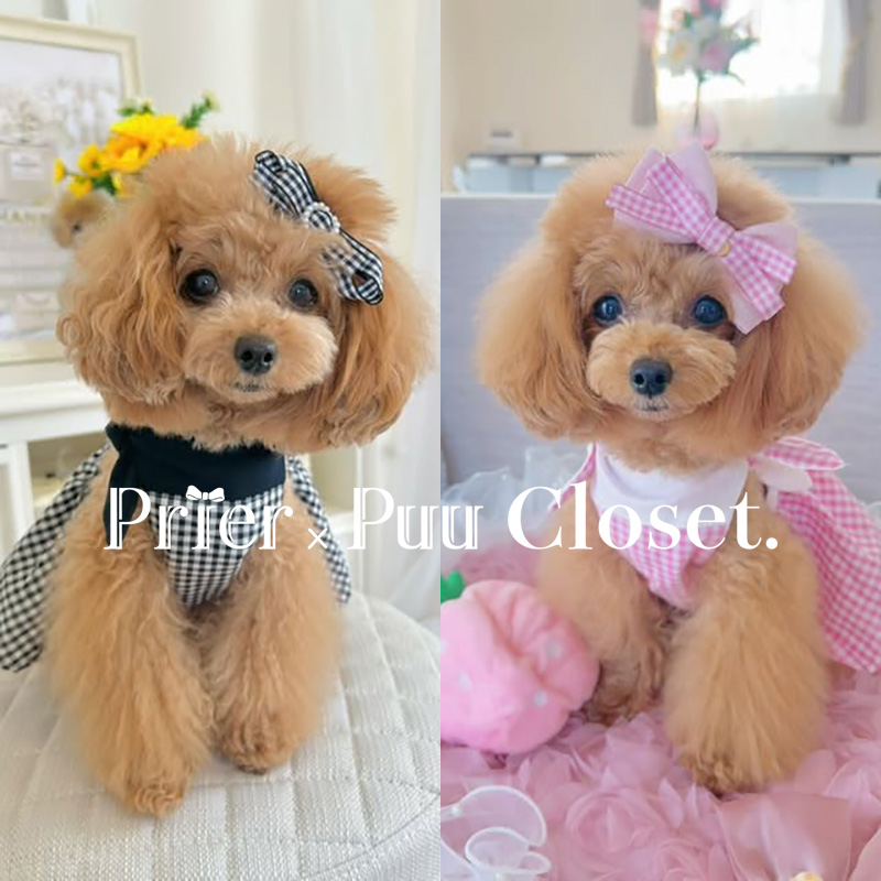 犬服 ペットアポルテ サイズSSS 最高 の