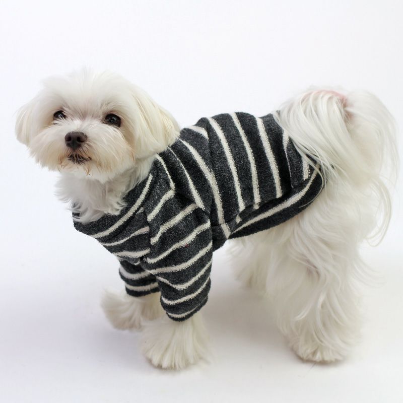 犬服 ラグラン(M) ꒡̈⃝Lily꒡̈⃝ハンドメイド 在庫処分品 犬服