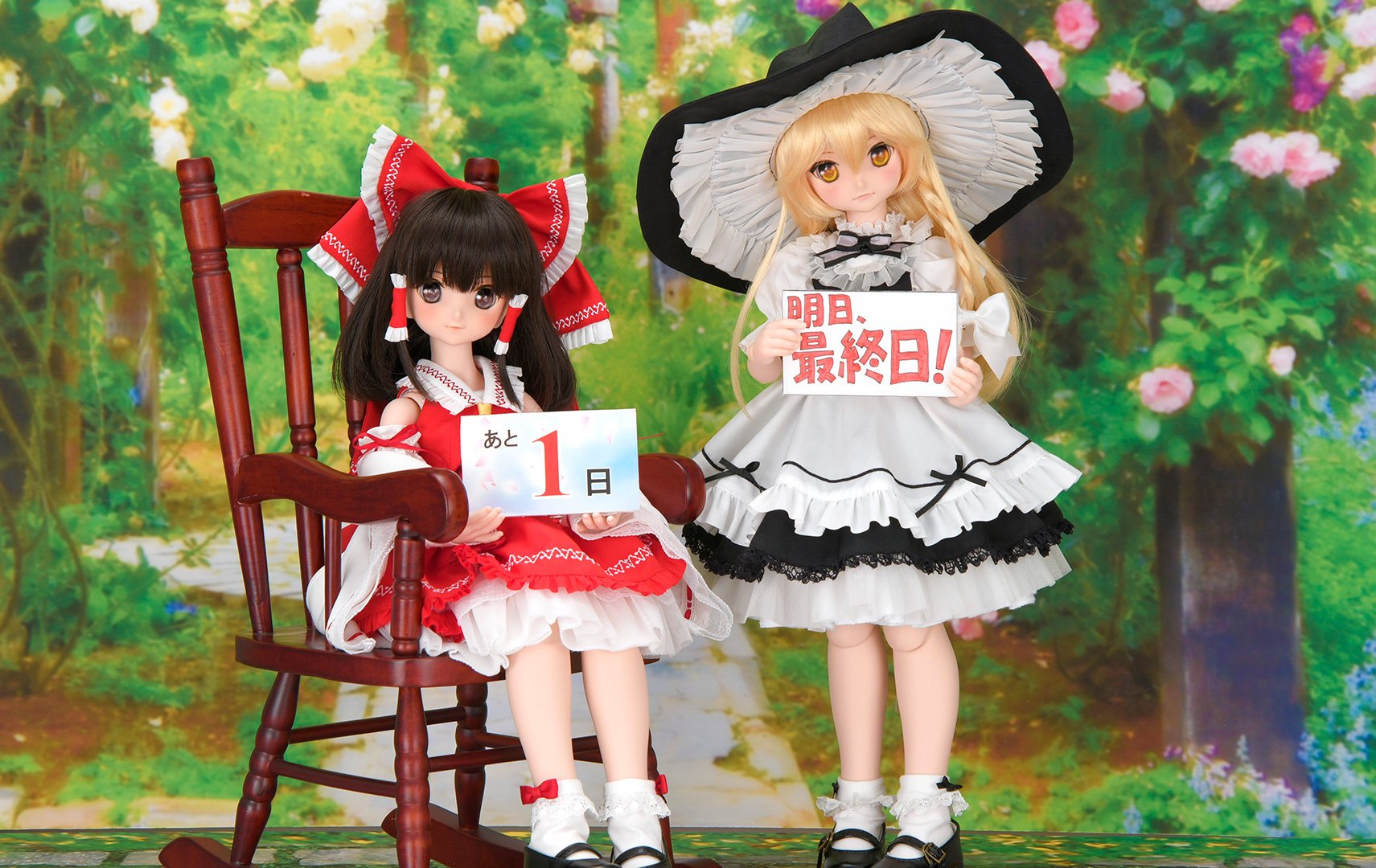 明日最終日！】「東方Project×DD」お申込み締め切りカウントダウン