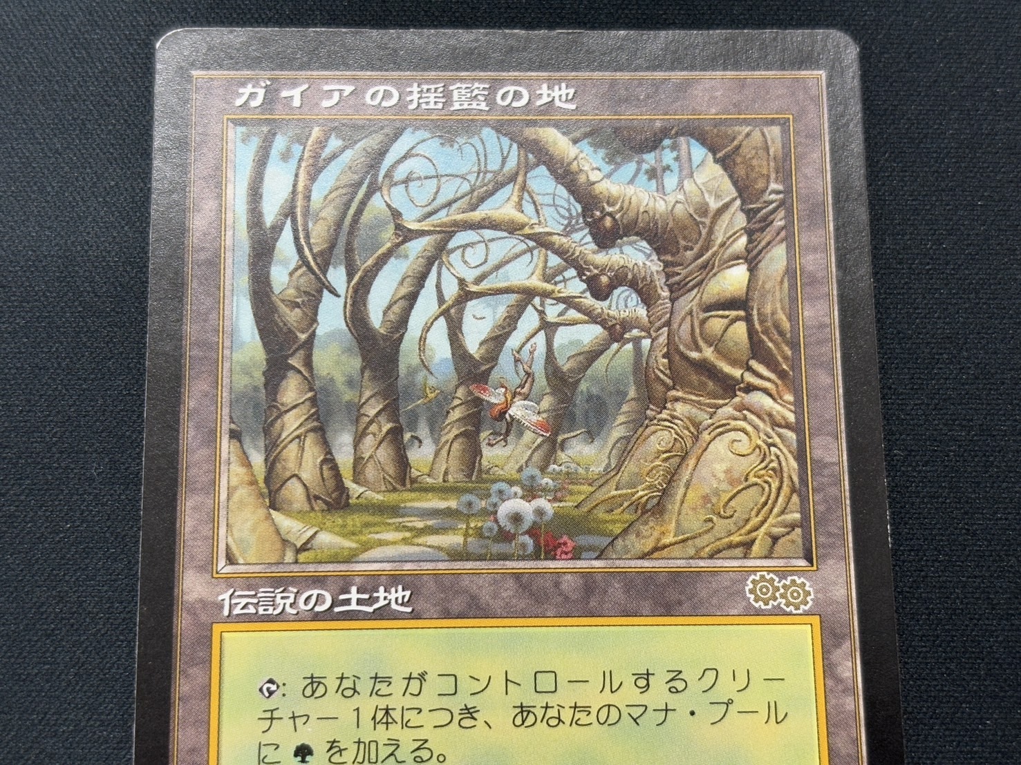ガイアの揺籃の地 ウルザスサーガ 日本語版 MTG ガイアの揺籃の地 1枚