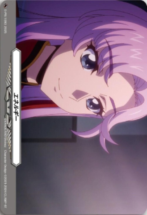 プロテインバー エネルギー 明星エリカ ヴァンガード 3枚セット