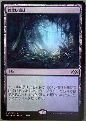 MTG霧深い雨林日本語版 4枚 霧深い雨林/Misty Rainforest 日本語