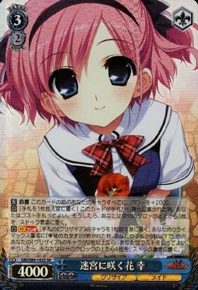 迷宮に咲く花幸(SP/サイン)(GRI/S84-102SP) | SP | ドラゴンスター