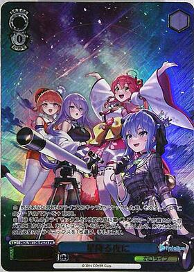 今にも星が降ってきそうな夜に 可子 ヴァイスシュヴァルツ ヴァイス