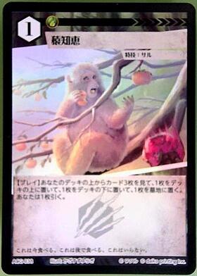 ユキデッキ 商品検索 | ドラゴンスター | アニマルカードゲーム