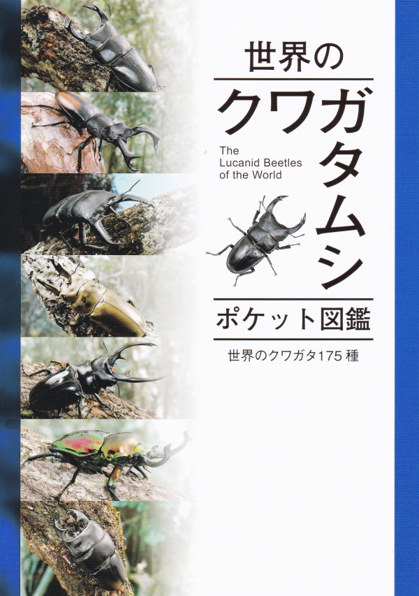 書籍 | ドルクスダンケ