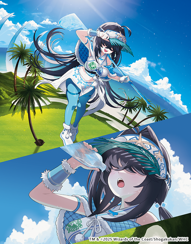 フェアリーライブラリー フェアリーライブラリー デュエル・マスターズ