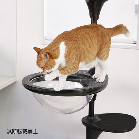 dショッピング |OPPO オッポ Clear Bowl クリアボール ホワイト