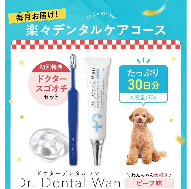 お手入れ・トリミング用品 Dr.Dental Wan お手入れ・トリミング用品 Dr