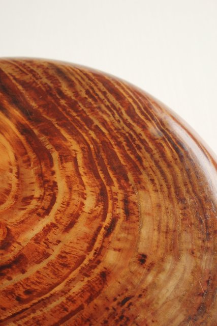 ヤニ松 老松 肥松 丸型煎茶盆 X130｜骨董店 のびる 古美術 骨董 和風