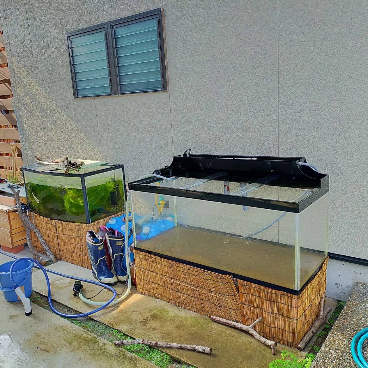 お買い得品 大型水槽買い取っていただける方お願いします。 大型水槽