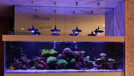 ZETLIGHT｜LSS Laboratory