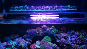 TUNZE｜LSS Laboratory