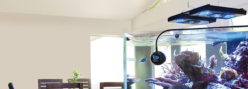 エコテックマリン｜LSS Laboratory