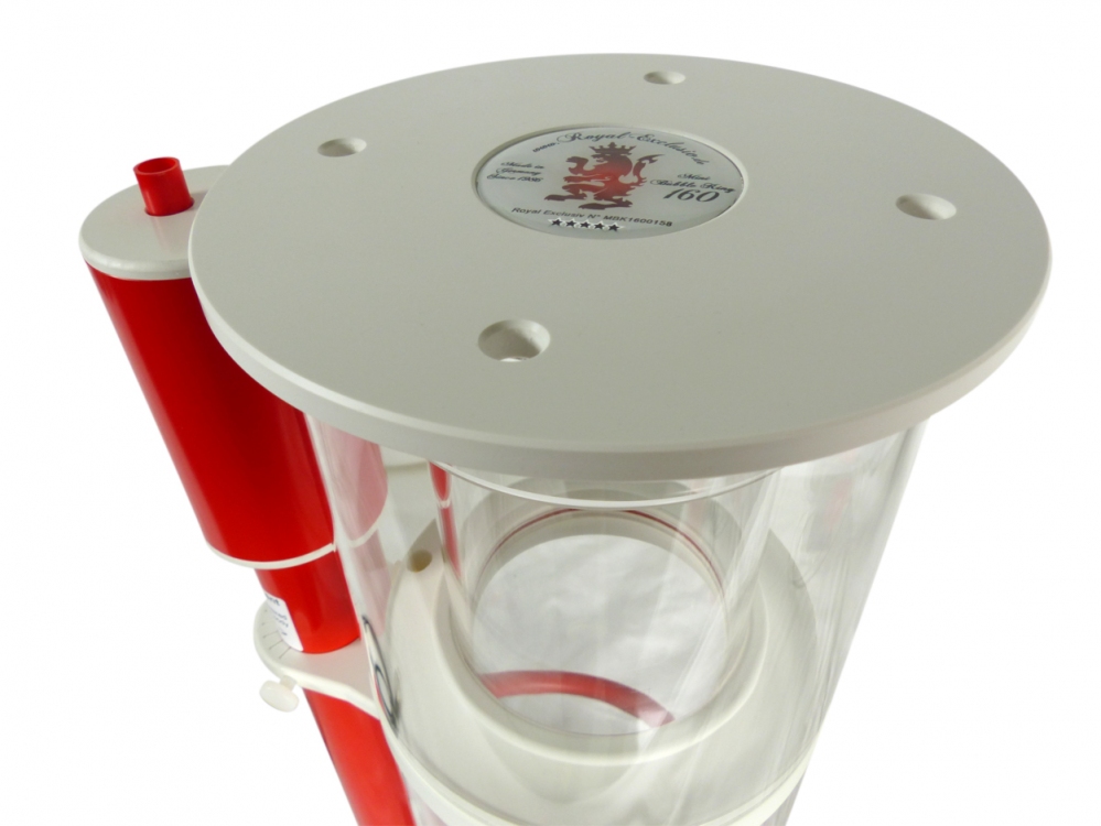 Royal Exclusiv｜Lss Laboratory