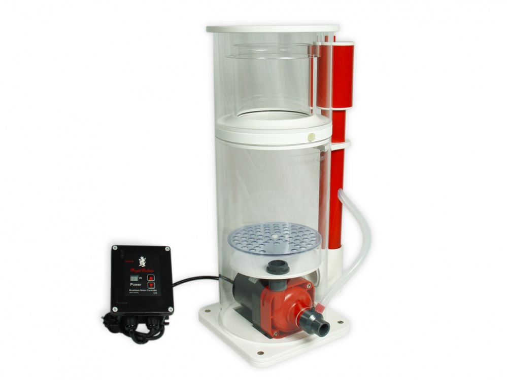 Royal Exclusiv｜Lss Laboratory