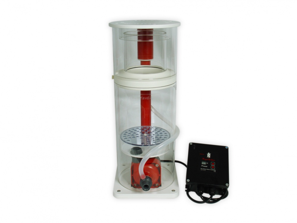 Royal Exclusiv｜Lss Laboratory