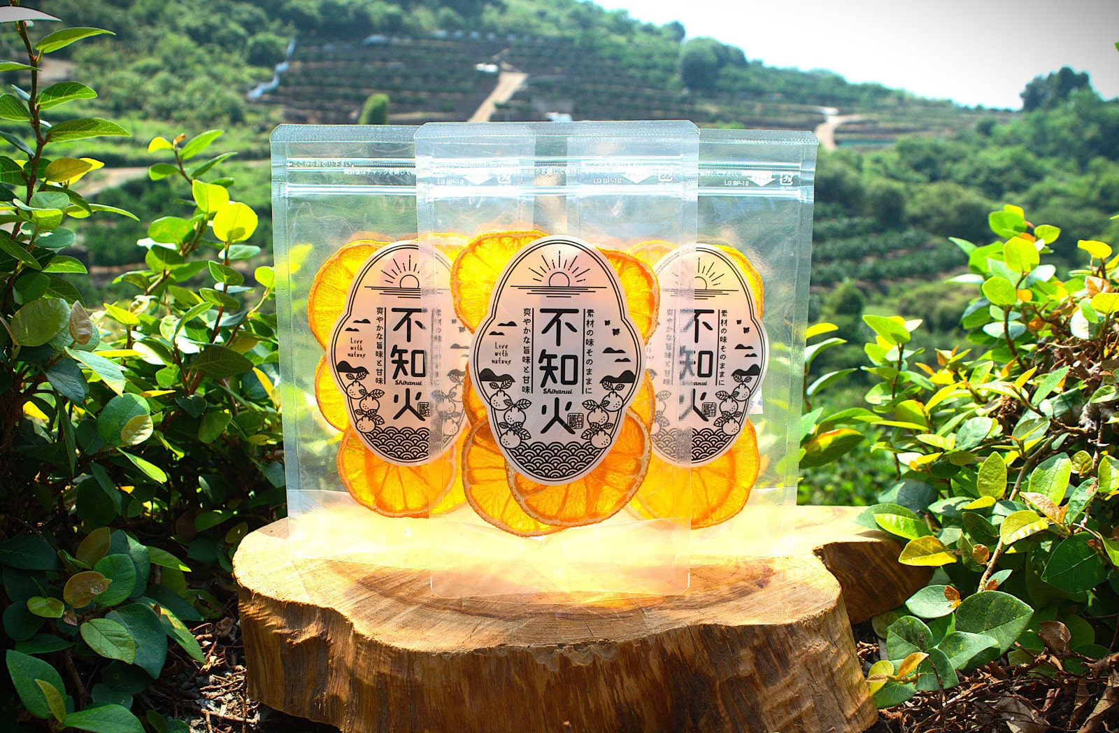 ドライみかん特濃＆ドライ不知火のギフトセット3袋入り 熊本県産 濃厚