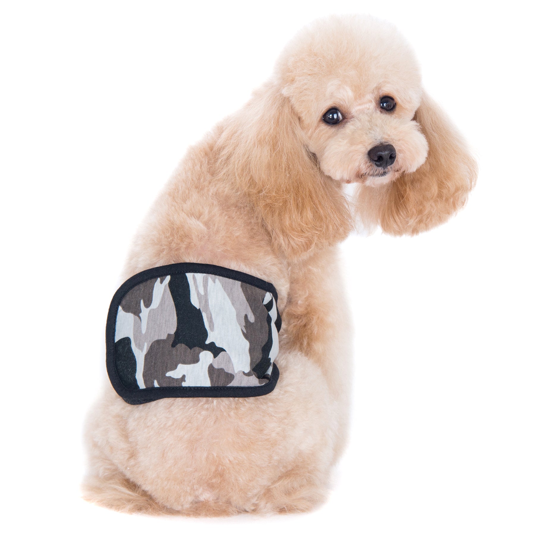 Alfie マナーベルト – 日本エイテックス オンラインストア