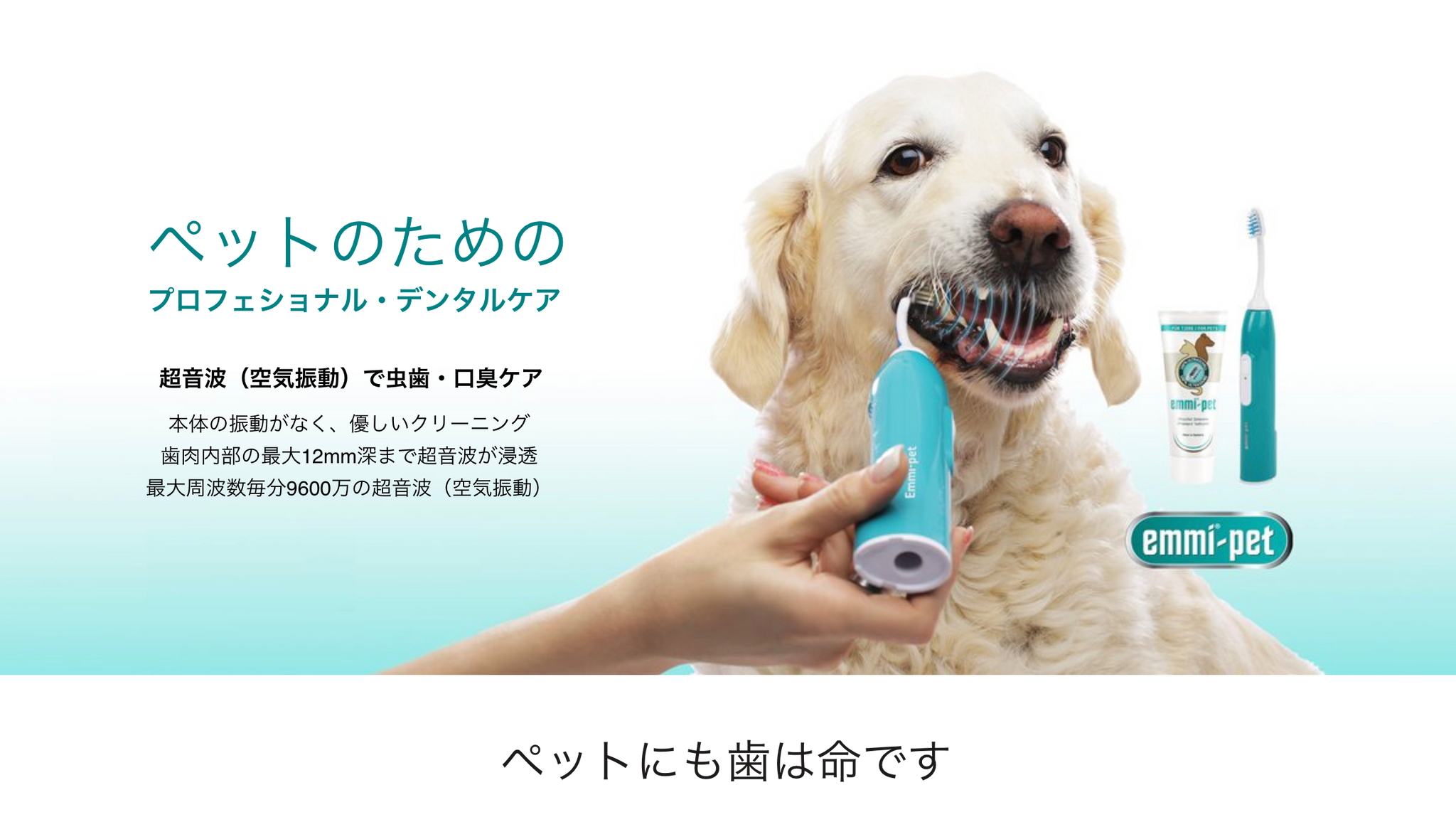 エミペット | Emmi Ultrasonic Japan