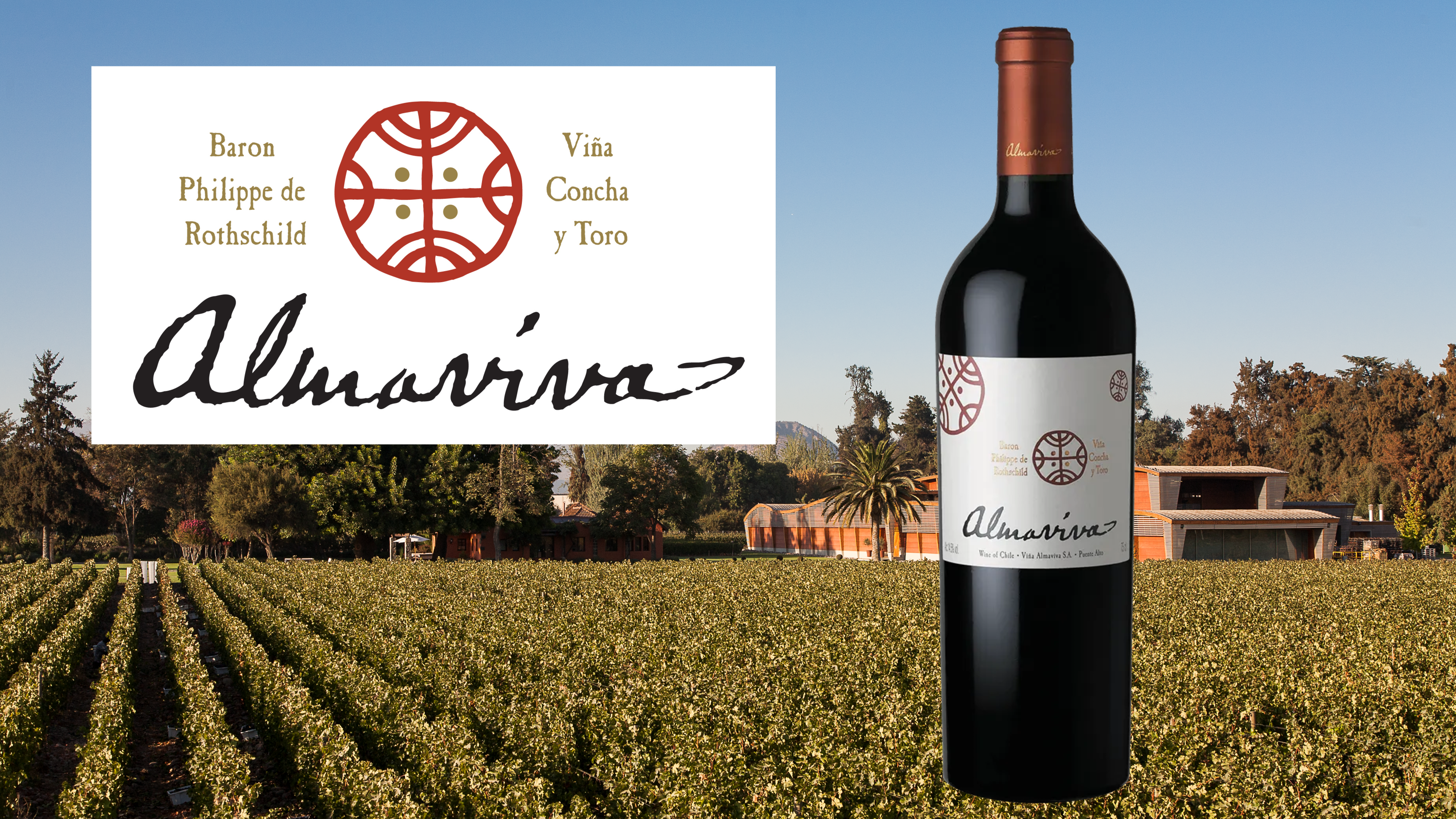チリ】アルマヴィーヴァ、ファースト・セカンド比較テイスティング