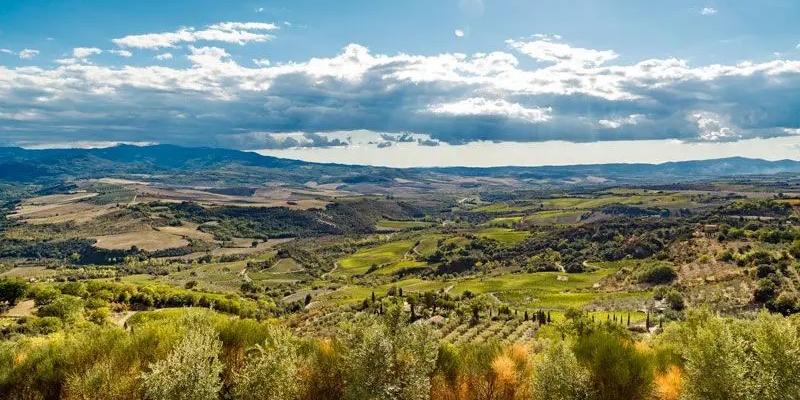 ポッジョ・ディ・ソット POGGIO DI SOTTO | エノテカ - ワイン通販