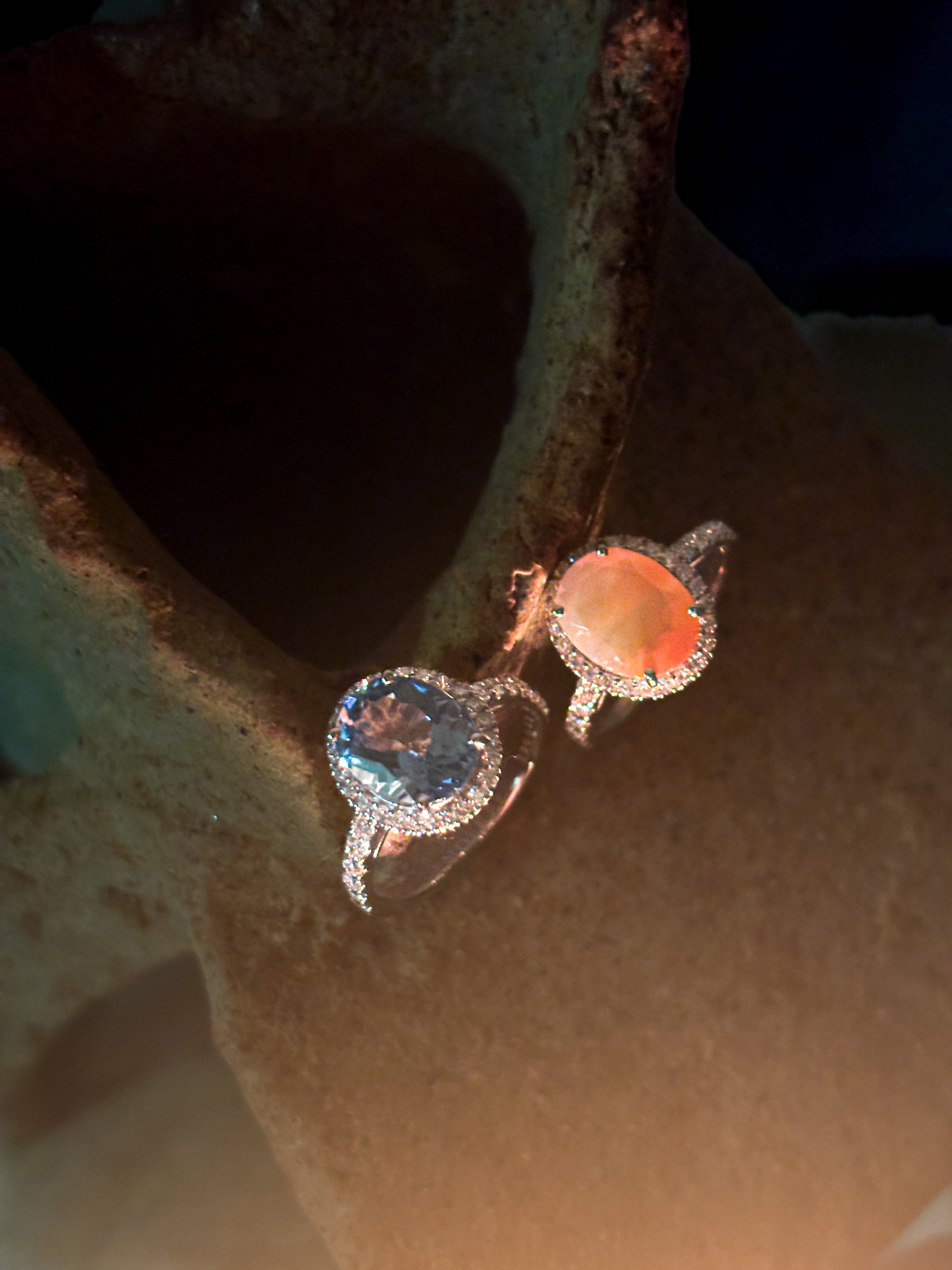 顔のない月 CARNELIAN トレカ 全72種類 ROOT カーネリアン ねくねっと