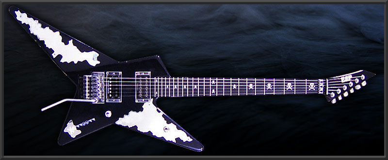 ESP | ARTIST CUSTOM GUITARS | ANCHANG