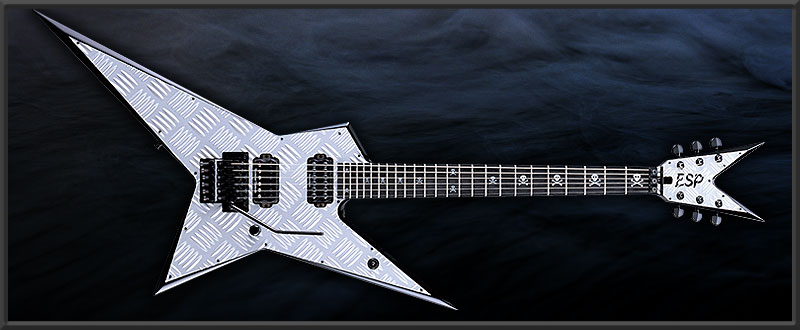 ESP | ARTIST CUSTOM GUITARS | ANCHANG