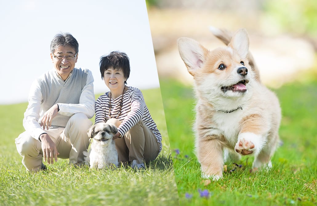 公式】歩けるくん|EQT|STEP EQT