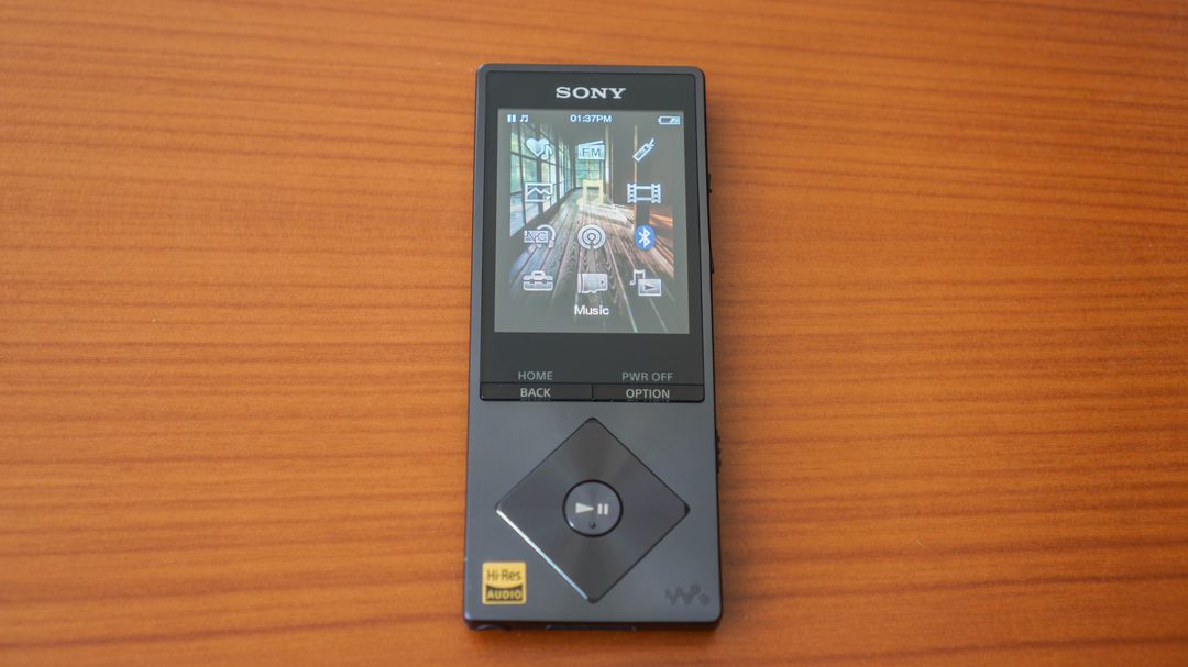 Sony NW-A25 Review – Dead Media or Niche Luxury? – Everyday Listening