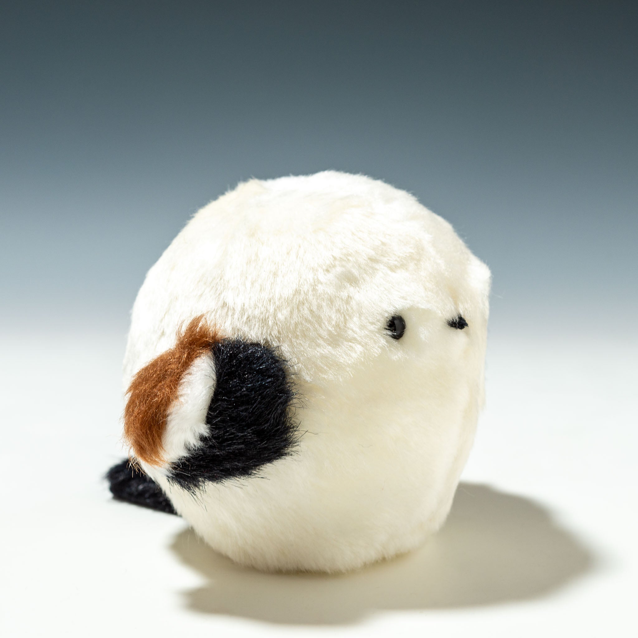 zeenunew ぬいぐるみ 2体セット ZEENUNEW / ZEE NUNEW ぬいぐるみ VER