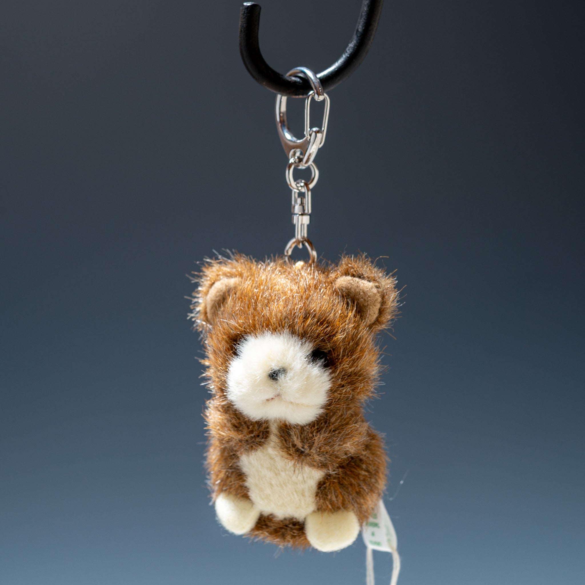 56448321-1.jpg?v=1756271547&