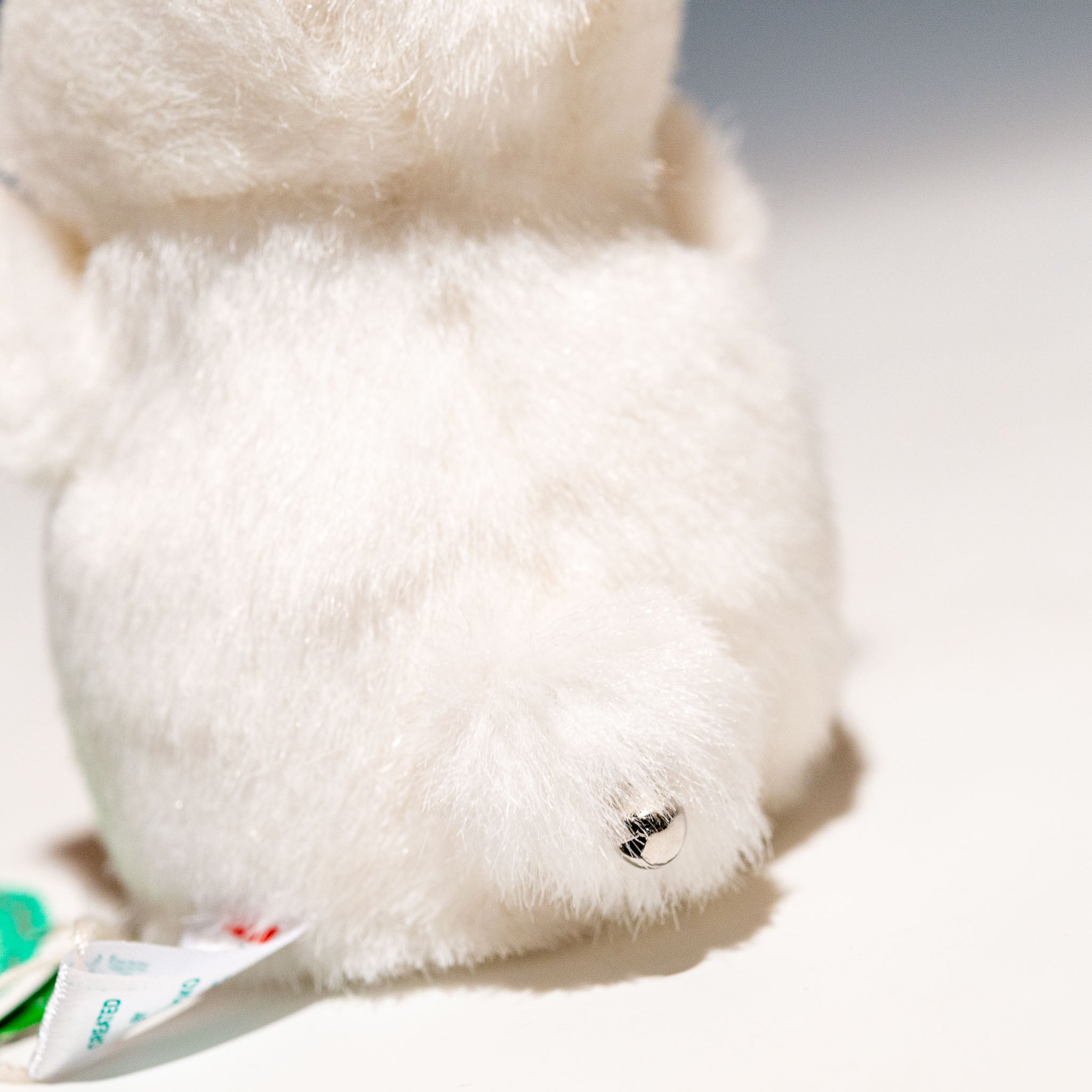 たけのこ TAKENOKO ぬいぐるみ プチプチらんど 森のなかま ウサギ 白