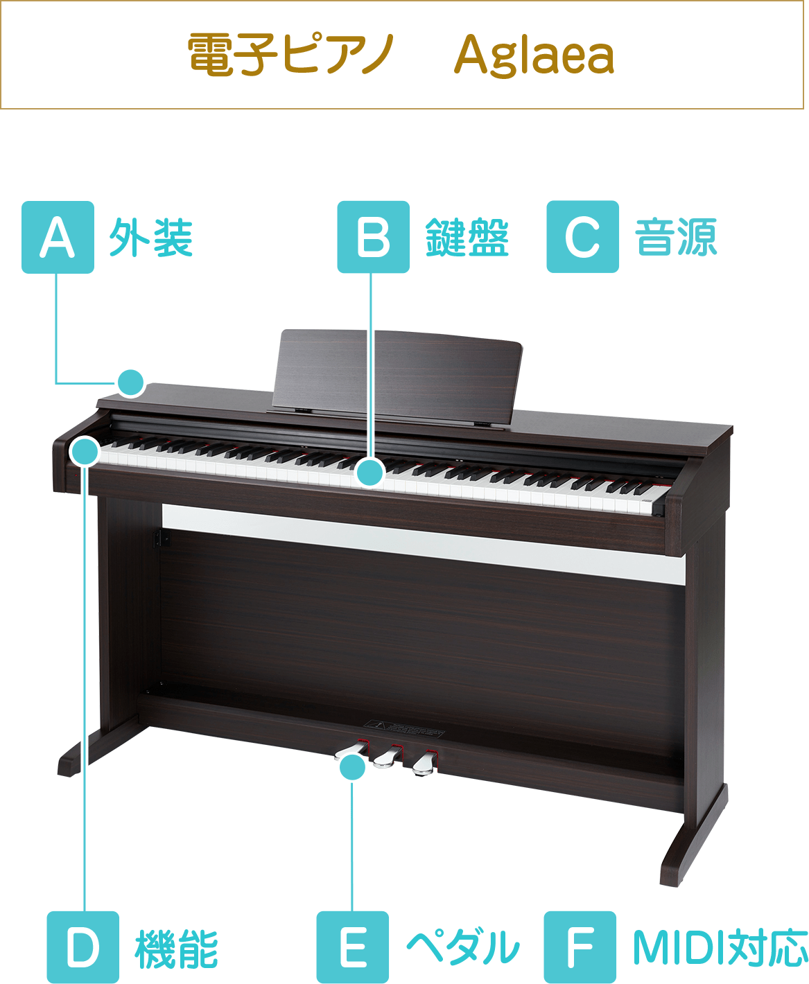 電子ピアノ Aglaea（アグライアー） |【EYS-Kids】子供向け音楽教室で1