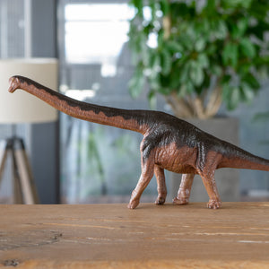 Brachiosaurus Soft Model – Favorite official website