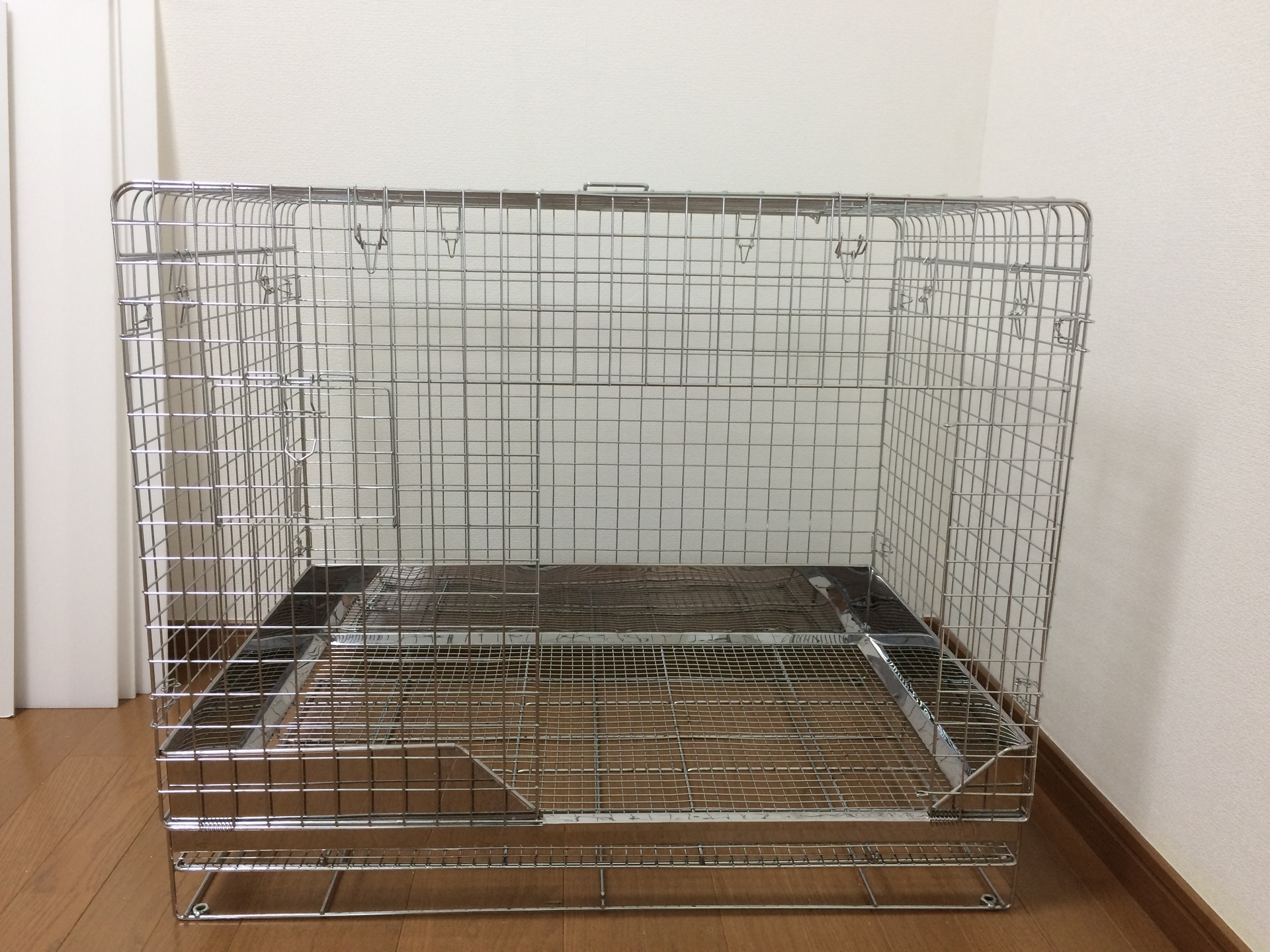 うさぎのしっぽ プロゲージ 60