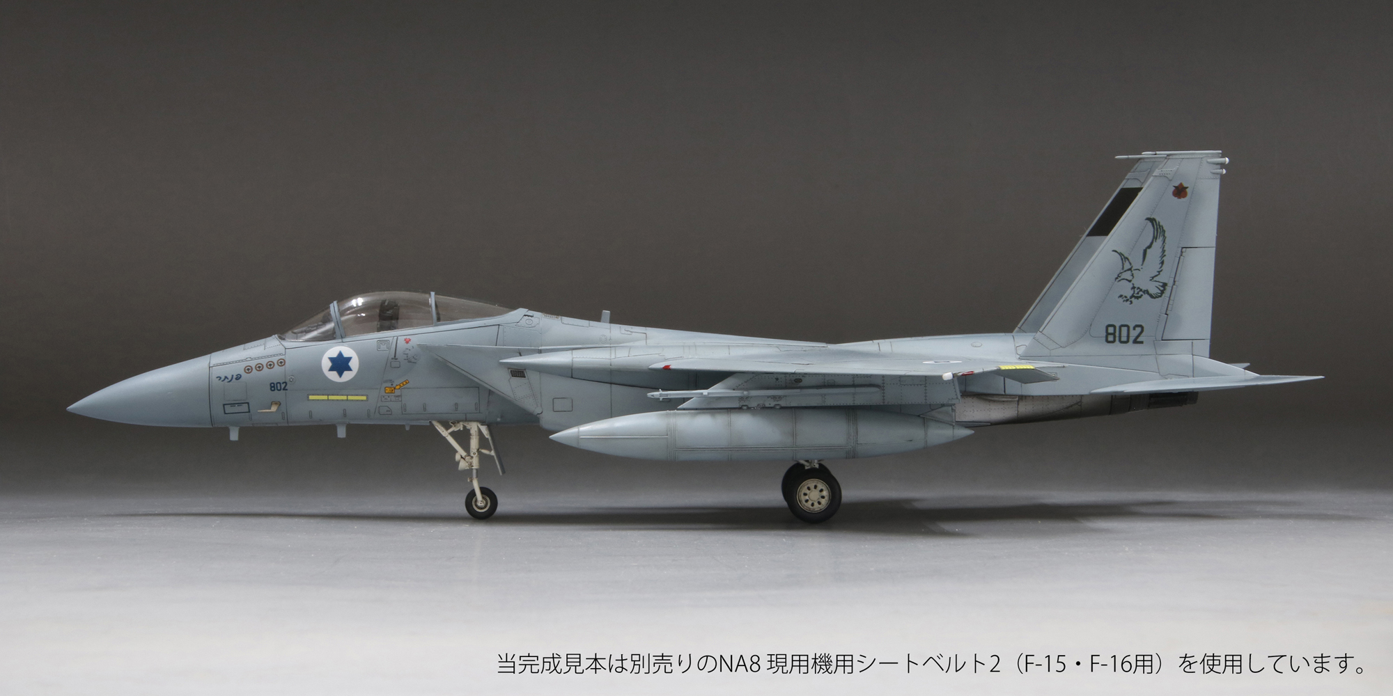 1/72イスラエル空軍F-15C“バズ”