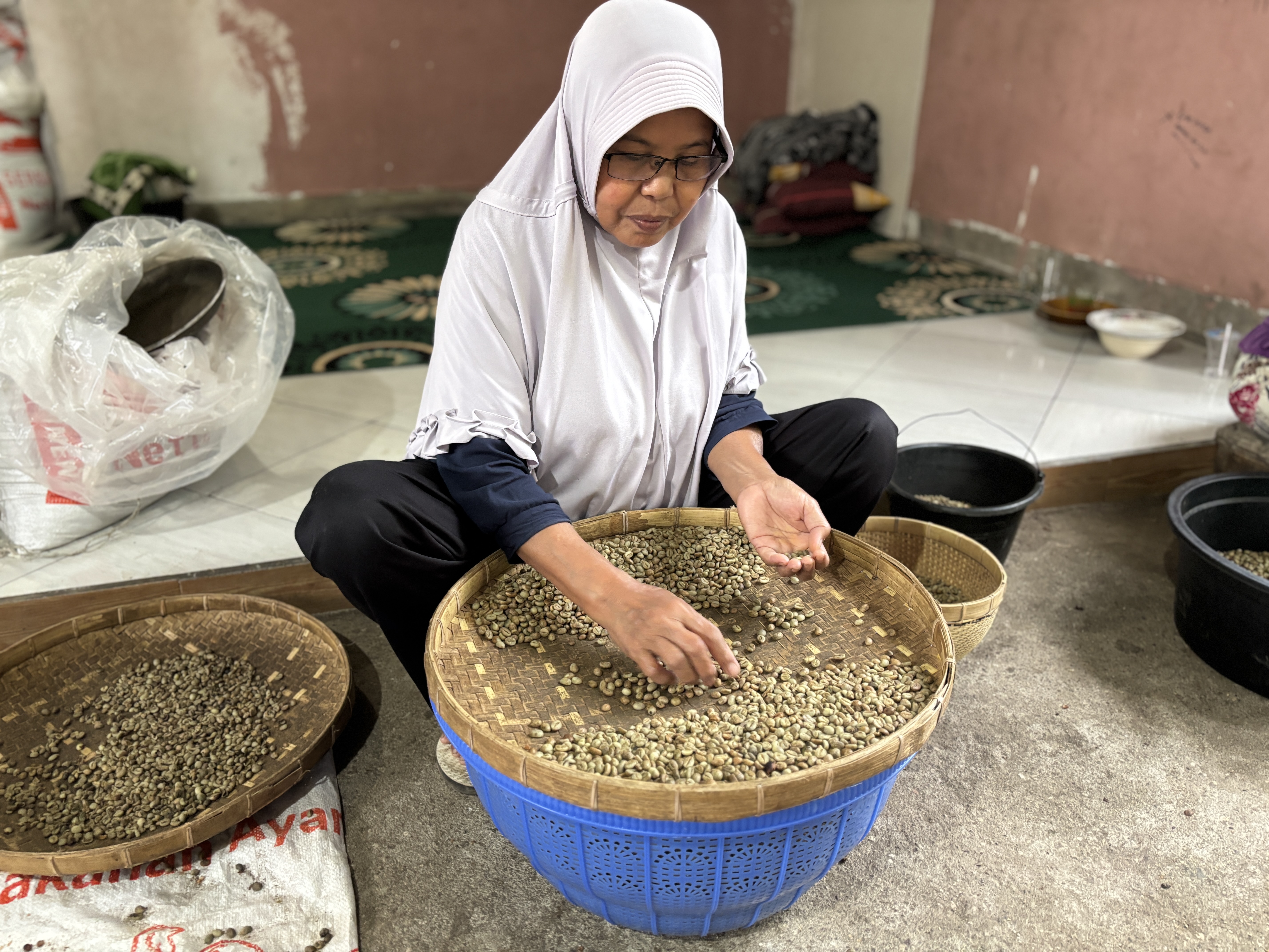 インドネシア ロンボク島 ロブスタ ナチュラル G1 生豆 | 海ノ向こう